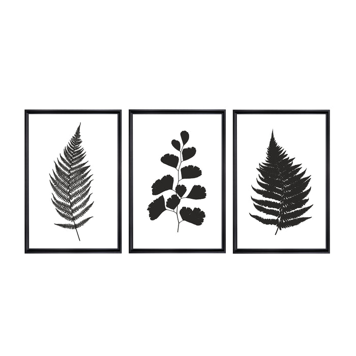 Botanical Ferns Framed Canvas Wall Art