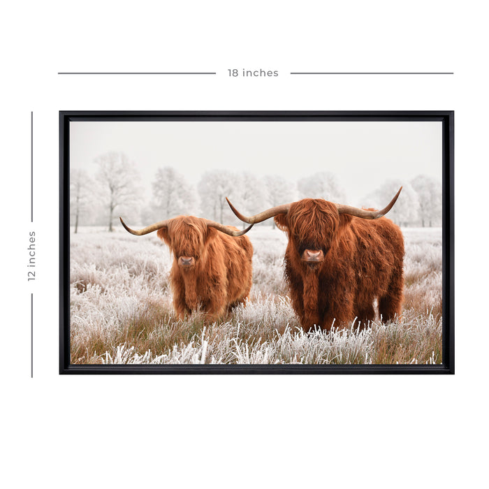 Highland Cattle Framed Canvas Wall Art
