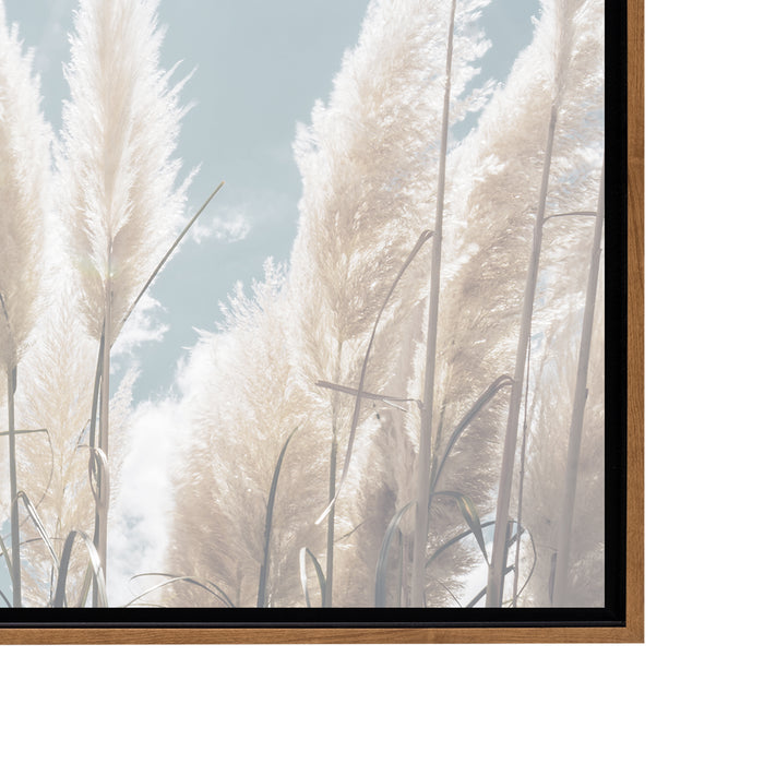 Tall Pampas Grass Framed Canvas Wall Art