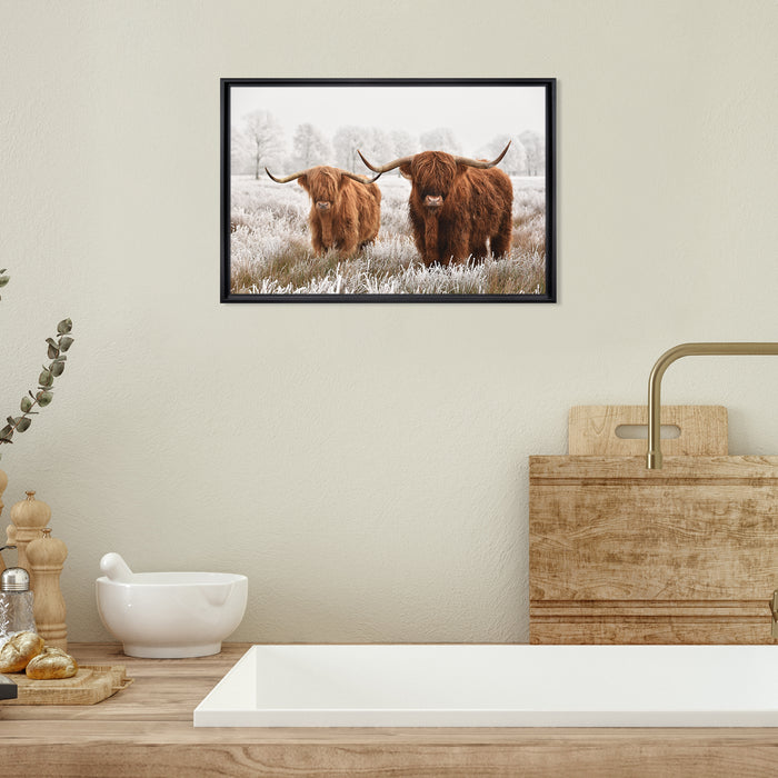 Highland Cattle Framed Canvas Wall Art