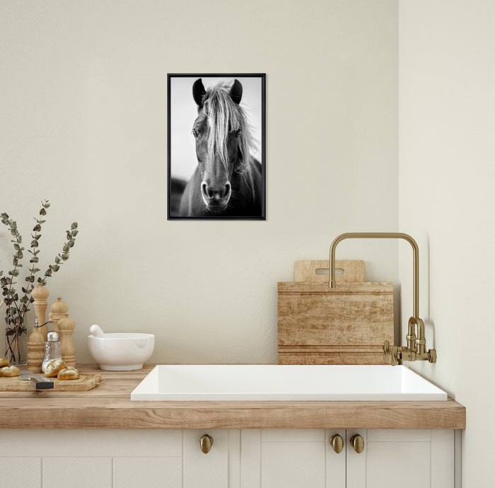 White Wild Horse Framed Canvas Wall Art