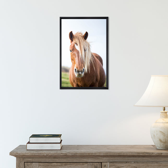 Wild Horse Framed Canvas Wall Art
