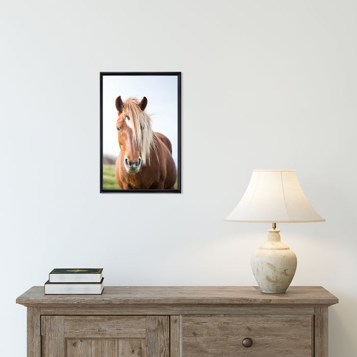 Wild Horse Framed Canvas Wall Art