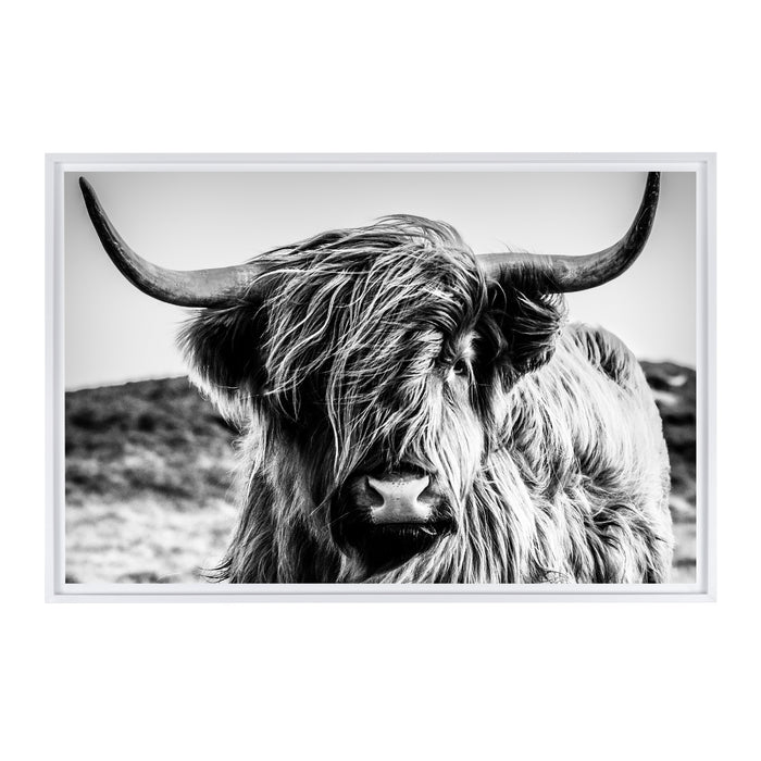 Highland Cow Framed Canvas Wall Art