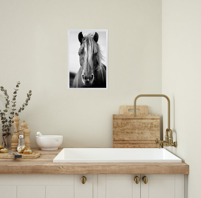 White Wild Horse Framed Canvas Wall Art